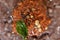 Ragi mudde with spicy red chutney on the banana leaf