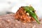 Ragi mudde with spicy red chutney on the banana leaf