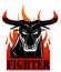 Raging Black Bull Fighter Over the Fire