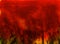 Raging burning fire abstract texture background