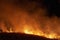 Raging grass wildfire at night. Inspiration for danger, bushfire warning, summer bushfire season posters or memes. Wallpaper or