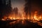 Raging inferno engulfs the forest, consuming trees and wildlife