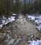 Raging Merced River beside snow covered banks