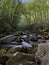 Raging River water of Big Creek, Tennesse