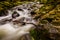 Raging stream in Tollymore Forest