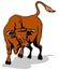 Raging texas longhorn bull