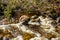 The raging waters of Deer Arm River. Gros Morne National Park Newfoundland Canada