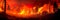 raging wildfire consuming a vast expanse of pristine forest, with flames reaching high into the sky. Generative AI