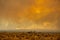 A raging wildfire rips through the Sierra Nevada mountains in California, turning the sky into a blaze of orange smoke
