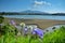 Raglan, a small town popular for its beach in New Zealand