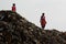 ragpickers collecting plastic waste at the garbage disposal ground at Dhapa in the eastern India state of k kolkata.