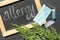 Ragweed plant Ambrosia genus medication and chalkboard with word `ALLERGY`