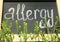 Ragweed plant Ambrosia genus and word `ALLERGY` written on chalkboard