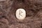 Raido or Raidho Nordic stone rune on animal fur. Letter Raed of the Viking alphabet