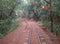 Rail lines of Indian Hill Station Matheran-IV