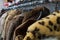 Rail of Secondhand Fur Coats For Sale in a Thrift Store Shop