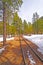 Rail Siding into the Snow and Trees