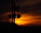 Rail signal silhouette before orange sunset