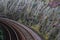 Rail track curves and bridge on heather moor field