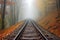 rail track disappearing into foggy forest