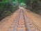 rail track in jungle of matheran