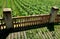 Railing fencing rest area above the vineyard using red bricks creates a regular airy grid paving in stripes overgrown with lawn