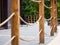 Railing in the form of wooden posts with tensioned ropes