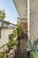 Railing of the terrace of an attic full of plants