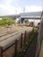 Railings, bridge, trees, train, railroad