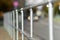 Railings of metal pipe