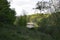 Raillroad bridge hidden in the forrest