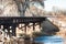 Railroad bridge over the Cache La Poudre river