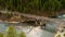 Railroad bridge over a wild Idaho river with a lush green forest