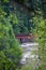 Railroad bridge. View through dense thickets