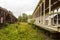 Railroad cars on overgrown tracks