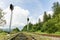 Railroad corridor, steel rail in nature background