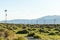 Railroad crossing and telephone poles near the Black Rock desert