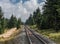 The railroad in forest of Harz, Germany