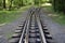 Railroad in the forest. Perspective. The paths diverge.