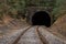 Railroad Going through a Tunnel