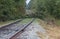 Railroad lines blocked by trees taken down by Hurricane Florence