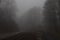 Railroad in the Mist, Balsam Mountain, North Carolina