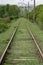 Railroad over green trees. Long way to horizon. Nobody