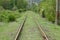 Railroad over green trees. Long way to horizon. Nobody