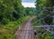 Railroad passing through the forest