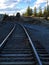 Railroad through the pine trees