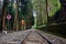 Railroad scenics from Alishan forest railway station