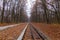 Railroad single track through the woods in autumn. Fall landscape