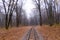 Railroad single track through the woods in autumn. Fall landscape