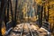 Railroad single track through the woods in autumn. Fall landscape